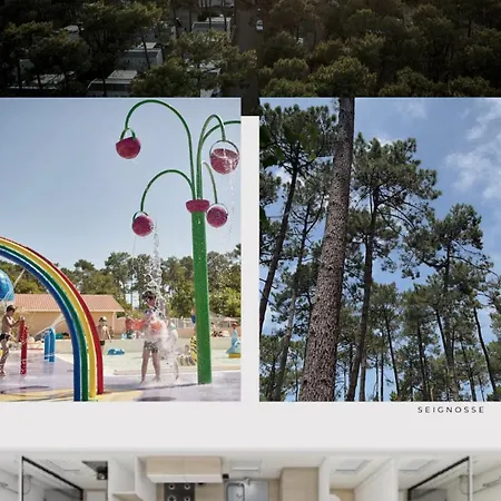 Mobilhome Dans Les Pins キャンプ場