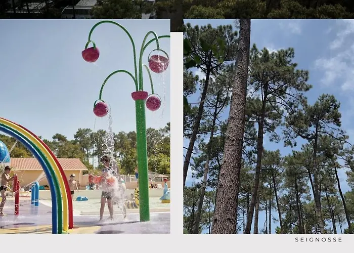 Mobilhome Dans Les Pins Camping